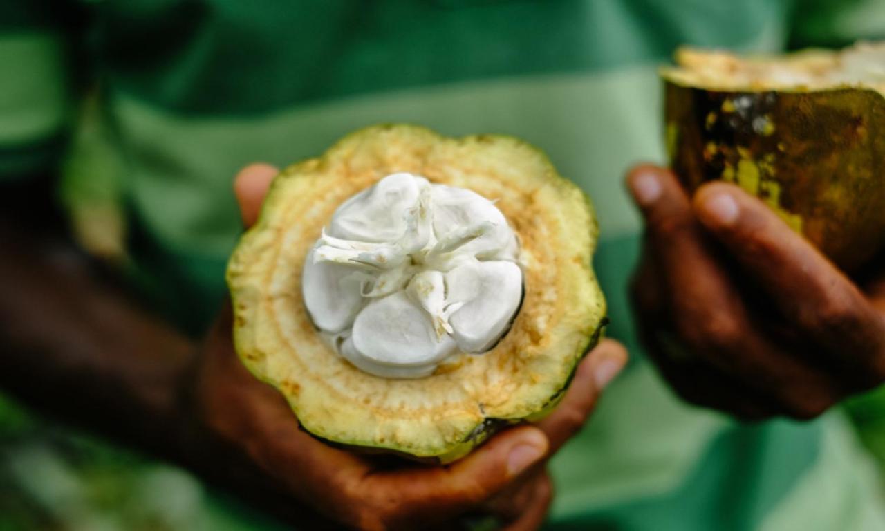 Omali Sao Tome Otel Dış mekan fotoğraf